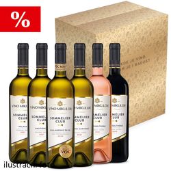 Degustační balíček vín z Víno Mikulov v dárkovém kartonu